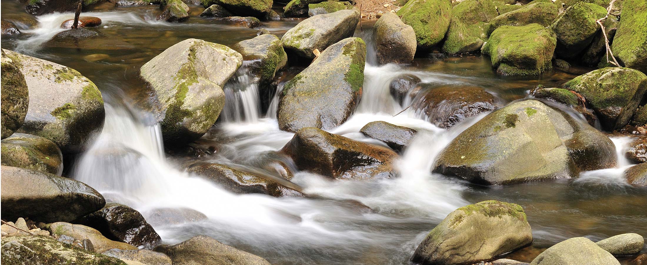 Urlaub in Freyung-Grafenau im Bayerischen Wald