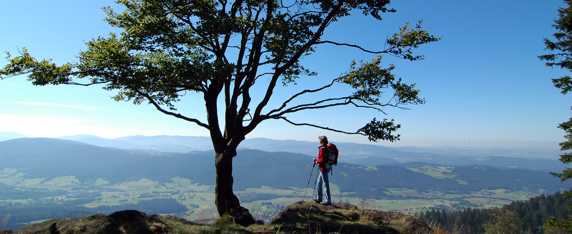 Wanderurlaub im Kötztinger Land