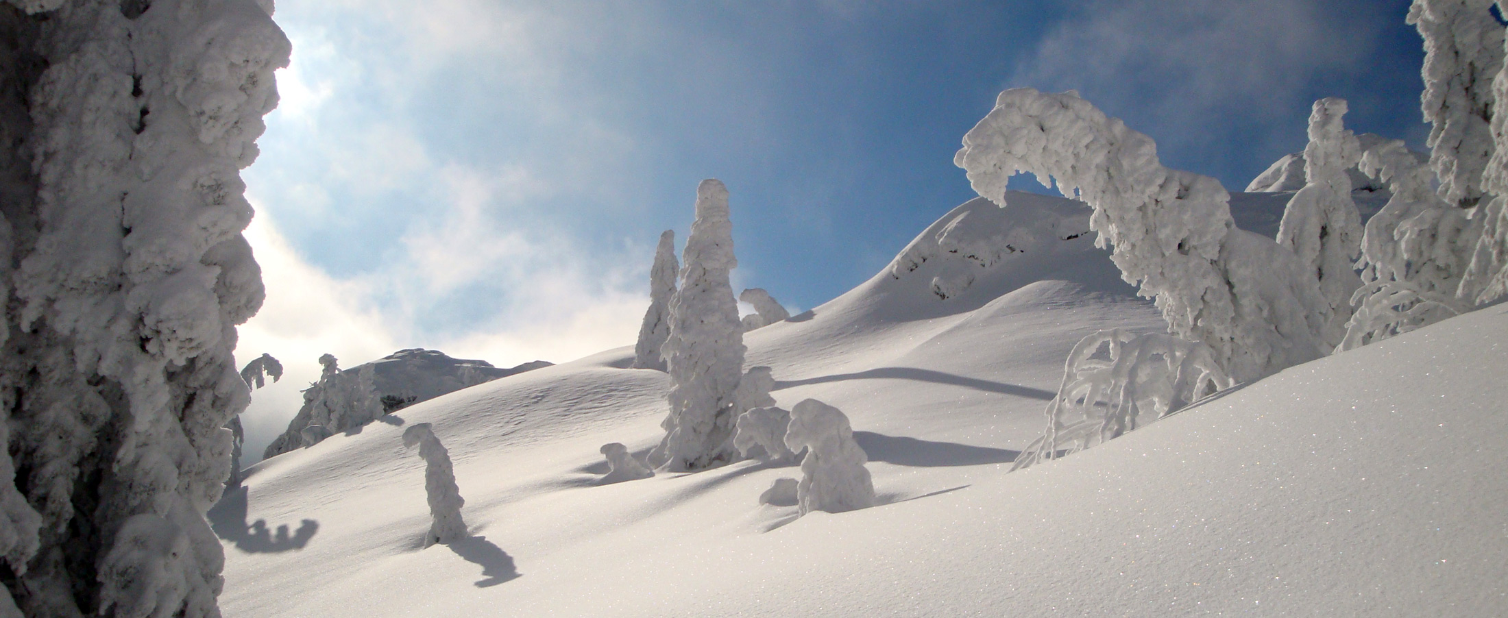 Urlaub im Zellertal Bayerischer Wald