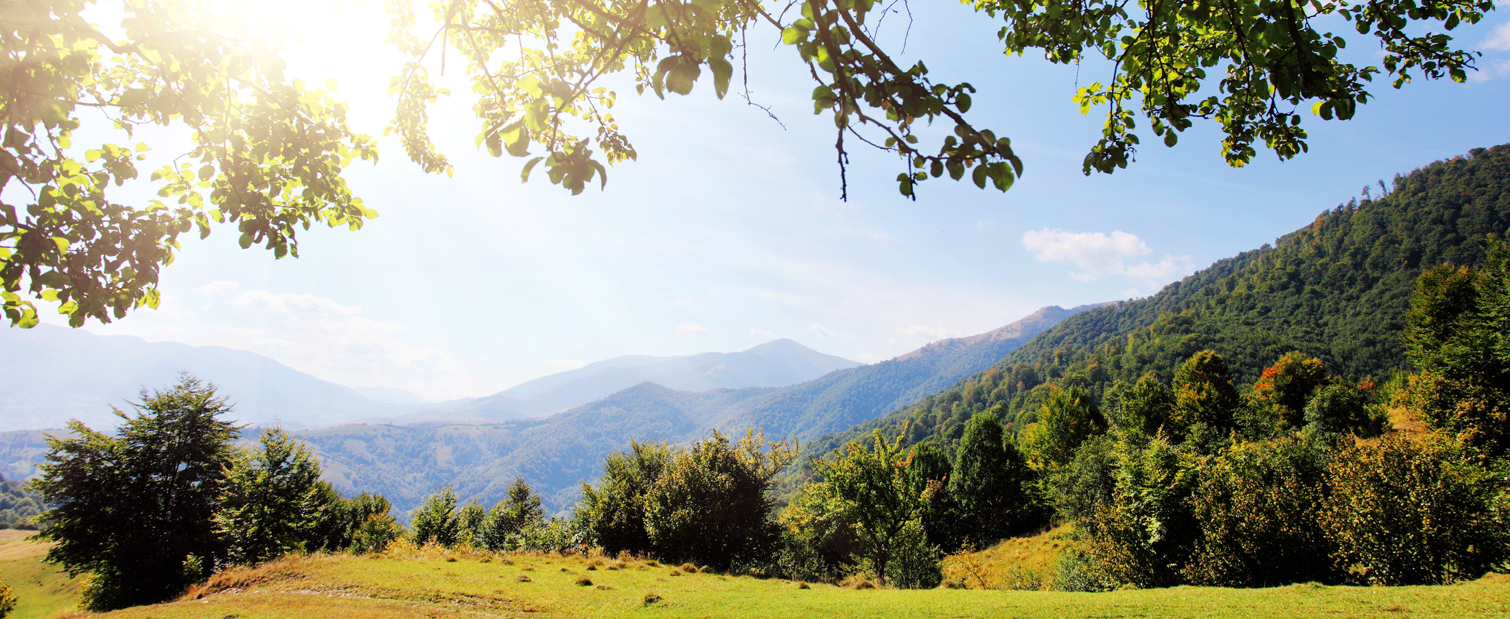 Urlaub am Arber im Bayerischen Wald
